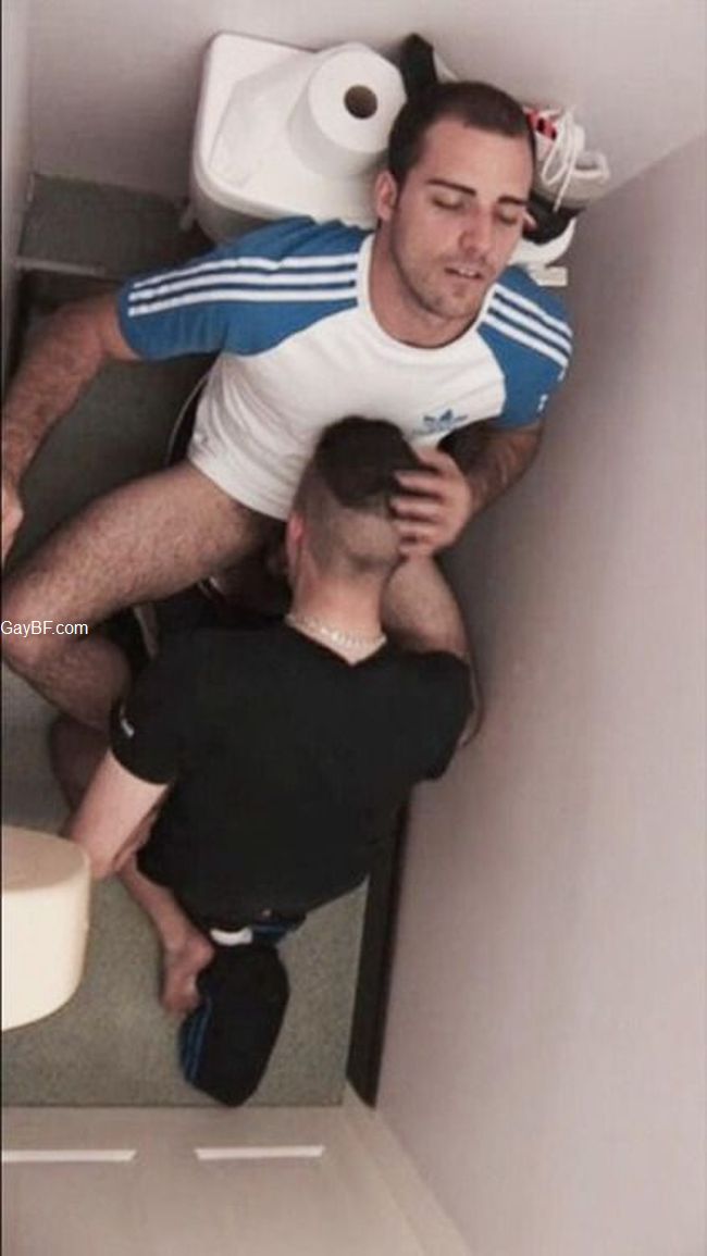 Gay Blowjob Videos